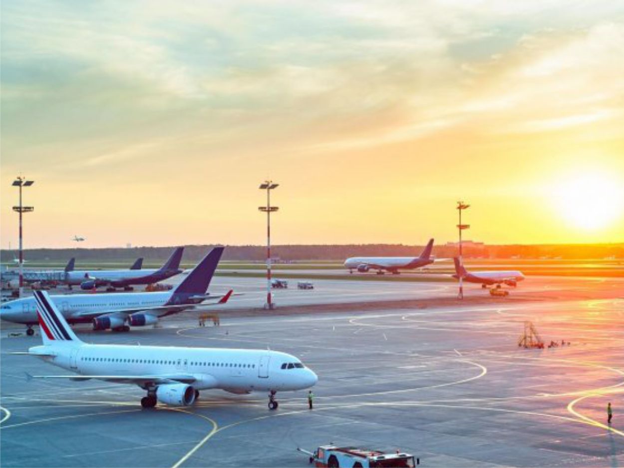 Serviços de Dedetização para Aeroportos em São Paulo