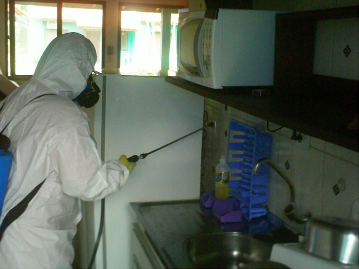 Dedetização com Barreira Química e Química Permanente em São Paulo